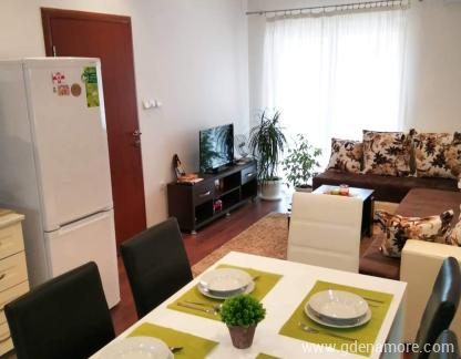 Apartman Djordje , privatni smeštaj u mestu Bar, Crna Gora - FB_IMG_1554896302552 Apartman Djordje , privatni smeštaj u mestu Bar, Crna Gora - FB_IMG_1554896302552
