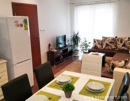 Apartamento Djordje, alojamiento privado en Bar, Montenegro - FB_IMG_1554896302552